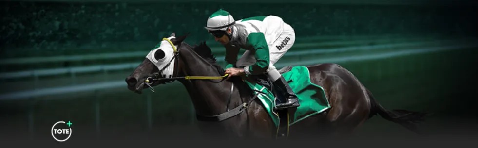 陈幸同力克,对手晋级,世界冠军以,博鱼体育官网,BoYu,SPORTS,博鱼体育中国官网,BoYu体育平台,博鱼体育服务